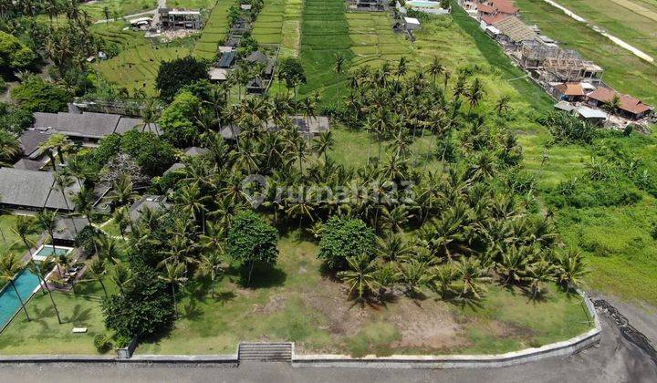 DiJual Tanah los pantai lokasi Pantai Cemagi 1