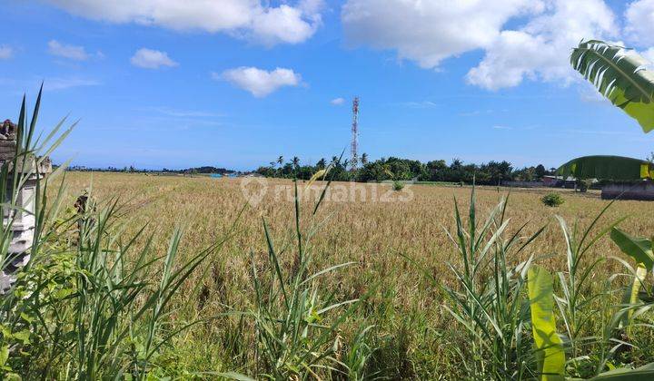 Dijual tanah View Sawah lokasi kelating tabanan bali 2