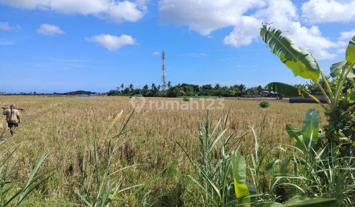 Dijual tanah View Sawah lokasi kelating tabanan bali 1