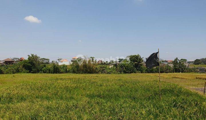 Land for sale near the beach in Seseh Munggu Badung 1