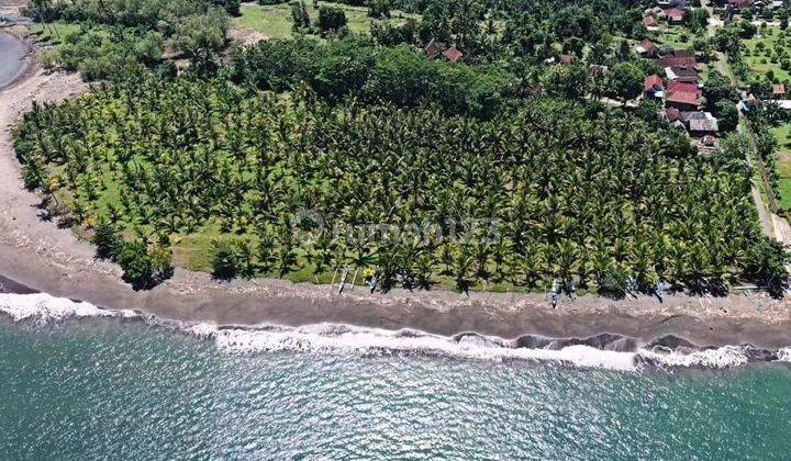 Land for sale at the beach in Melaya, Jembrana, Bali 1