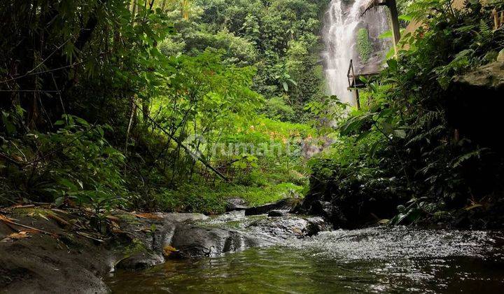 Land for sale with waterfall view, Munduk Buleleng, Bali 2