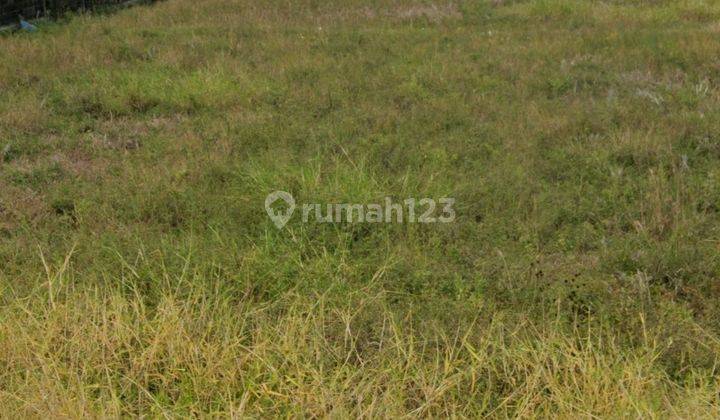 Land for sale on the main road in Kelating, Tabanan, Bali 2