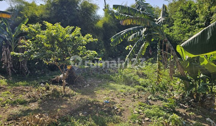 For Rent Land River View Location Dalung Villa Area