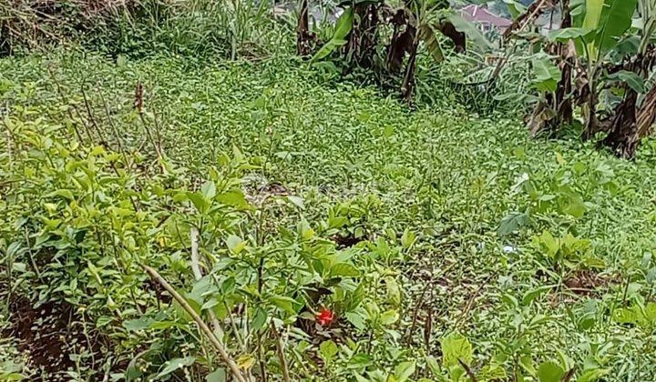 Dijual tanah butuh uang cepat lokasi munduk bulleleng bali 2