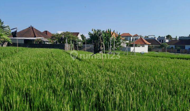 Land for rent in Babakan Canggu area, North Kuta, Badung, Bali 2