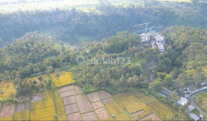 Land for sale next to Anantara Ubud Resort Puhu Payagan 2