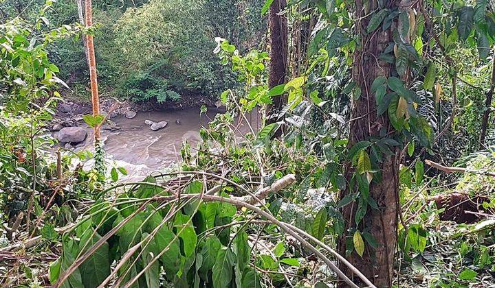 Dijual Tanah Los Sungai Ayung Lokasi Semana Mambal Abiansemal 1