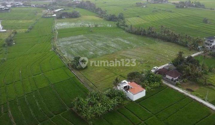 Dijual tanah view sawah lokasi nyanyi tabanan bali 2