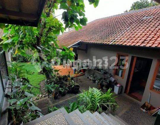 Rumah Etnik Minimalis Terawat di Cigadung 2