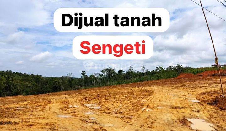 Jual Tanah Murah Sengeti Km.31 Tepi Jalan As 2