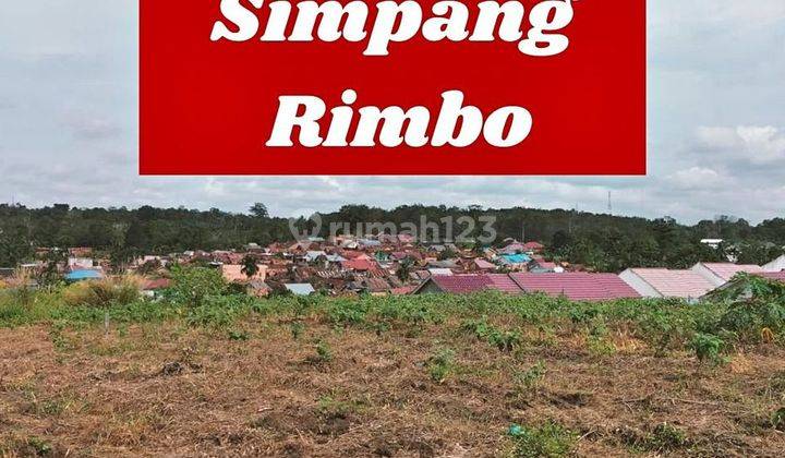 Tanah Murah Simpang Rimbo Dekat Kampung Rajo 2