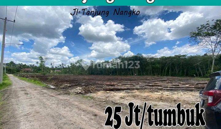 Jual Tanah Kosong Tanjung Nangko Kasang Pudak 2