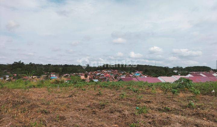 Tanah Kapling Murah Simpang Rimbo Kota Jambi 2