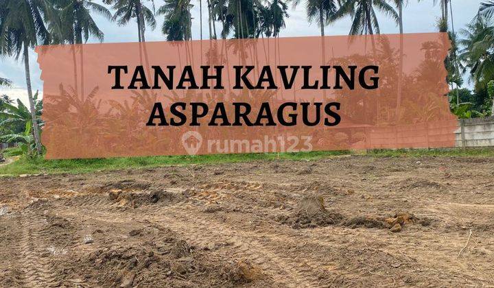 Tanah Kosong Asparagus Nusa Indah Kota Jambi 1