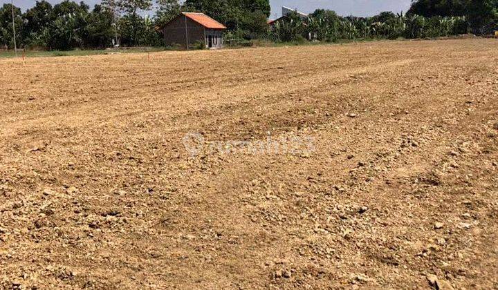 Tanah Murah Dekat Pasar Aurduri Kota Jambi 2