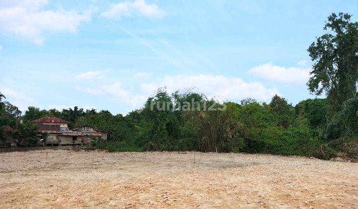 Jual Tanah Kebun Handil Jelutung Jl. Halmahera 2