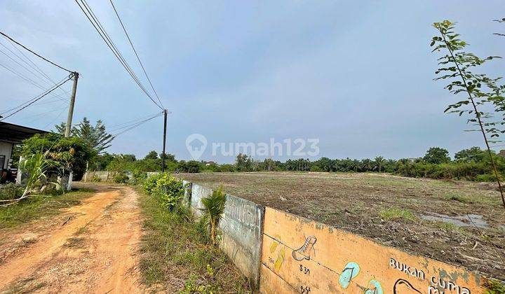 Tanah Kosong Pematang Sulur Telanai jambi 1