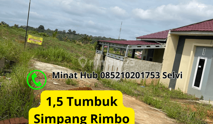 Kaplingan Murah Simpang Rimbo Kota Jambi  1