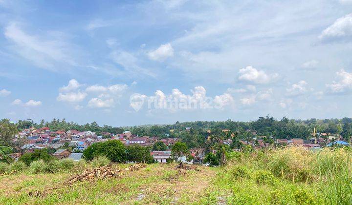 Kaplingan Murah Tanah Simpang Rimbo Dekat Kampoeng Radja 1