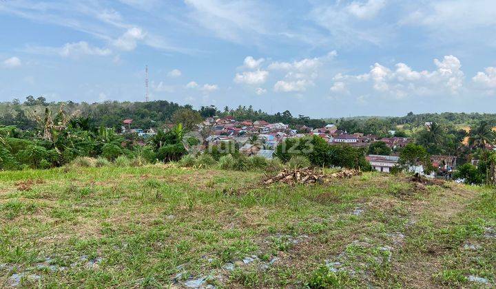 Kaplingan Murah Tanah Simpang Rimbo Dekat Kampoeng Radja 2