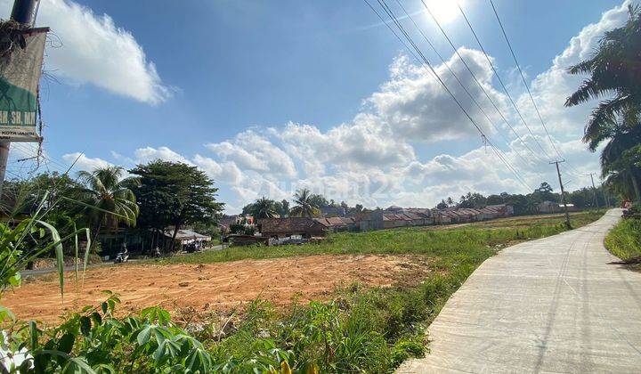 Kaplingan Murah Kota Baru Pinggir Jalan Jambi 2