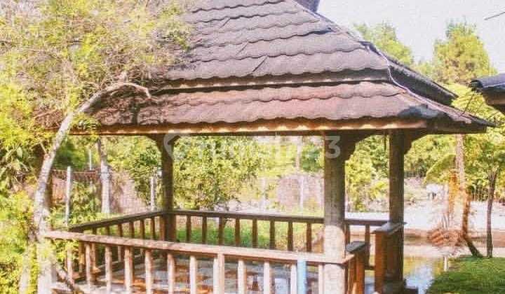 Rumah Villa Suasana Klasik & Unik di Nagrak Subang