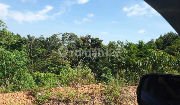 Land for Sale, 8 Hectares, Already Leveled in Kabil. Land for Sale, 8 Hectares, Already Leveled in Kabil.