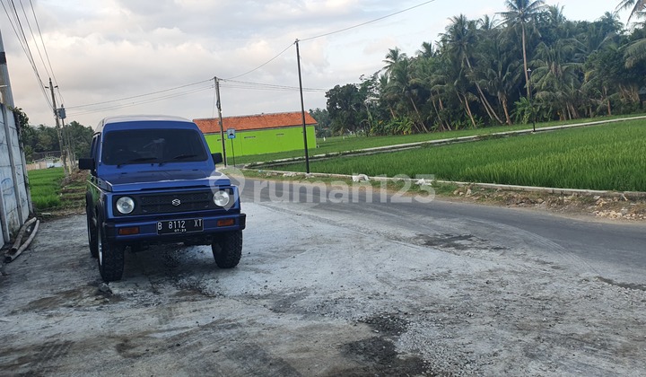 Tanah Sawah Tepi Jalan Aspal 705 m2 Temon, Kulon Progo 1