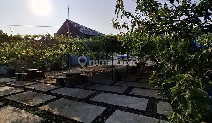 Dijual Cepat Tanah Cocok Untuk Usaha Pinggir Jalan Di Ciangsana. Nego 1