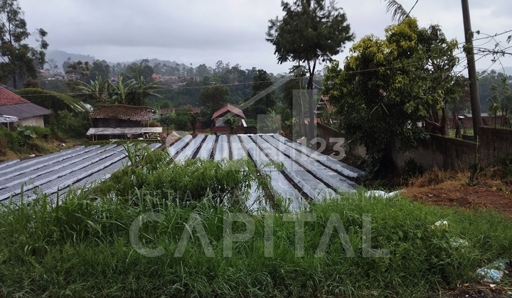Murah Tanah di Lembang Dengan Suasana Sejuk Dan Asri Cocok Pisan Buat Hunian Atau Villa