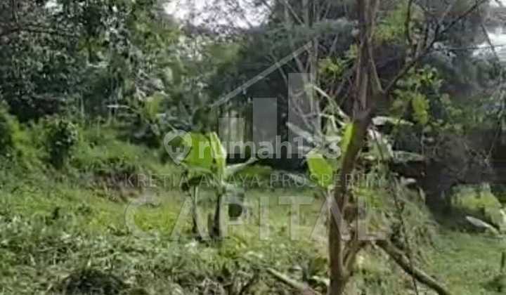 Tanah Murah Luas Cocok Untuk Cluster Town House Perumahan Ataupun tempat Lainnya di Padalarang Bandung Barat Tanah Murah Luas Cocok Untuk Cluster Town House Perumahan Ataupun tempat Lainnya di Padalarang Bandung Barat