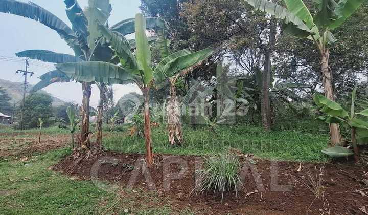 Tanah Luas Siap Bangun Cocok Untuk Pergudangan Dan Pabrik Mainroad Padalarang Bandung Barat Tanah Luas Siap Bangun Cocok Untuk Pergudangan Dan Pabrik Mainroad Padalarang Bandung Barat