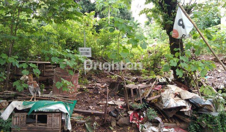 TANAH SIAP BANGUN JALAN KARANG REJO TLAGA BODAS SEMARANG 1