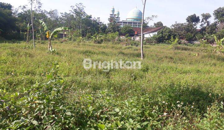 Tanah Siap Bangun Di Bsb Mijen Semarang 1