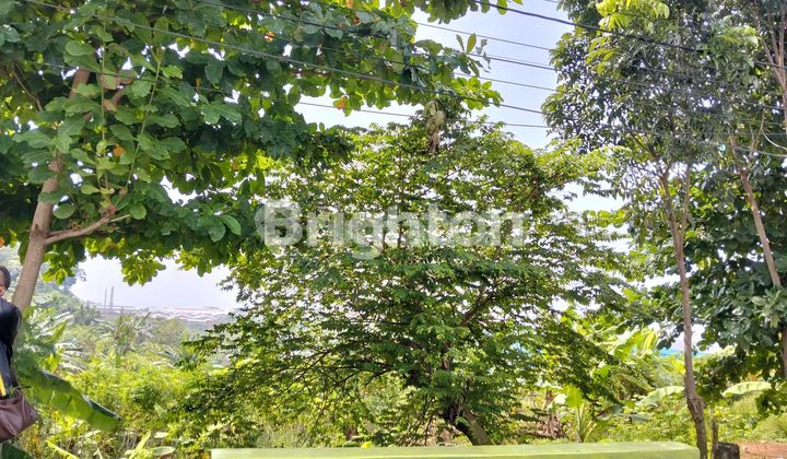 TANAH SIAP BANGUN DEKAT KEDUNGPANE DI NGALIYAN SEMARANG 2