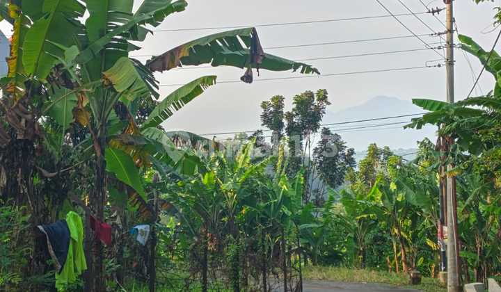 Flat Land Strategic Hook Position in Watulawang Papandayan Semarang 2