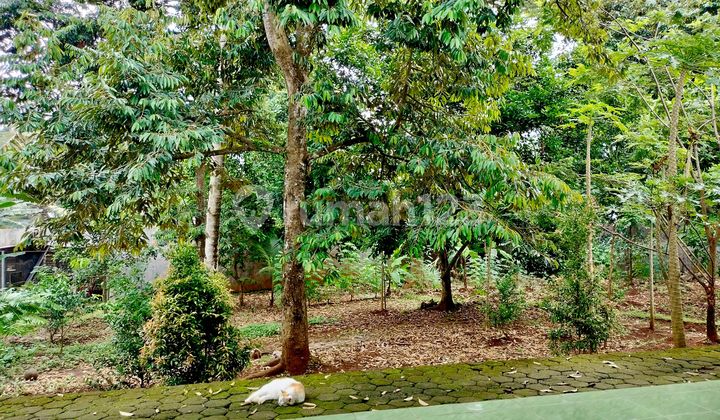 House + Active Primary Clinic + Land in Gunung Pati Semarang 2