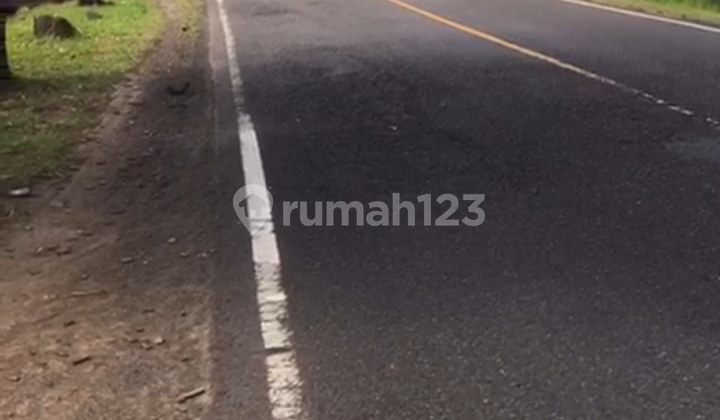 For Sale Land 0km Denpasar Gilimanuk Jembrana Melaya