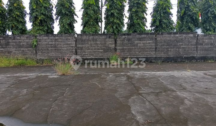 Tanah Lokasi Premium 1000m2 Abiansemal