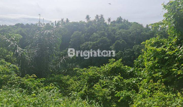 DI  TANAH Di GIANYAR DESA KEMENUH 2