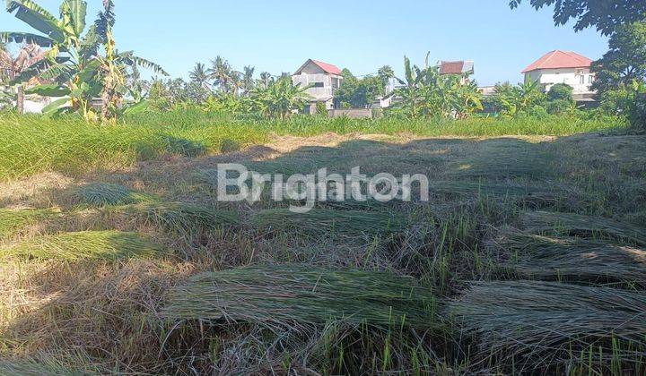 SOON ON CHEAP LAND SABA IN A RESIDENTIAL SURROUNDING 2