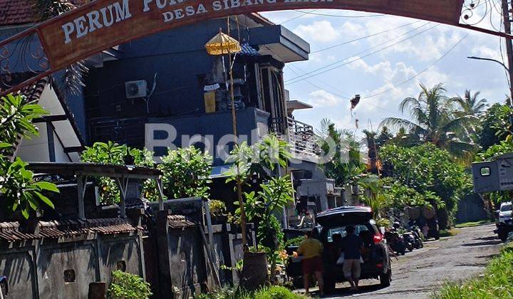 BU SEGERA DI  TANAH MURAH DI SIBANG KAJA 1