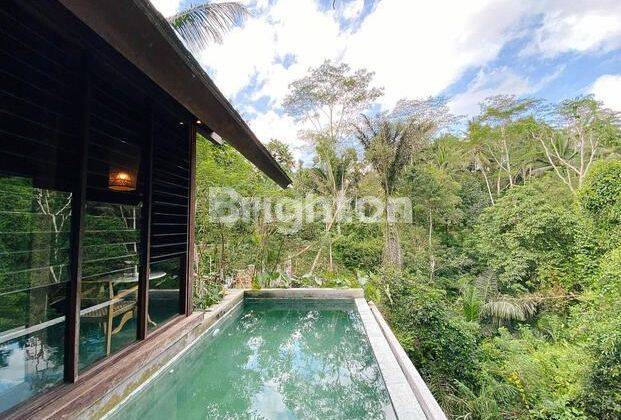 THE ONLY VILLA LOCATED IN THE HIDEOUT VILLAGE IN UBUD 1