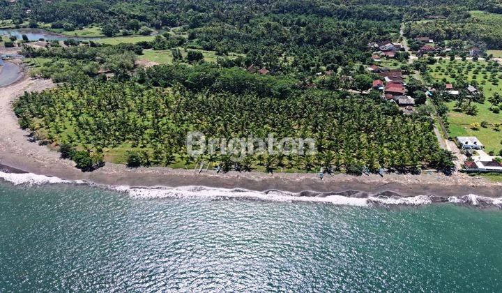 Segera Dijual Tanah Lokasi Premium Jembrana Bali 1