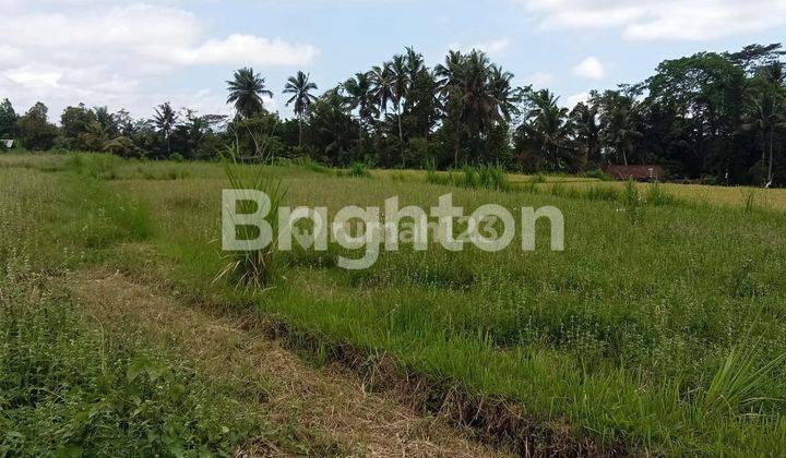 AFFORDABLE LAND  PRIME LOCATION IN PEJENG UBUD BALI 1