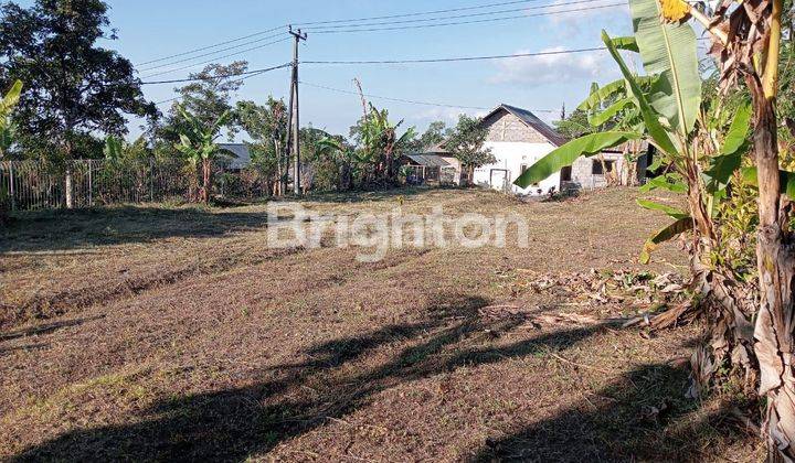 STRATEGIC LAND ALREADY FENCED 1