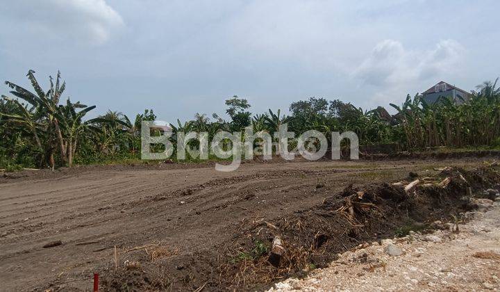 ON CHEAP LAND IN GIANYAR 1