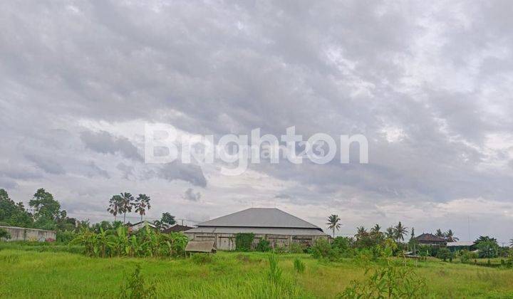 Dijual Tanah Kavling Lingkungan Villa Singakerta Ubud 2