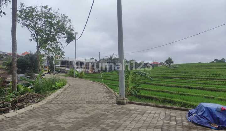 Freehold New Launching Villa Canggu Bali Freehold New Launching Villa Canggu Bali